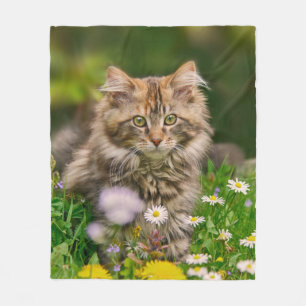 Niedlich Maine Coon Kitten Cat in Blume Wiese - ge Fleecedecke