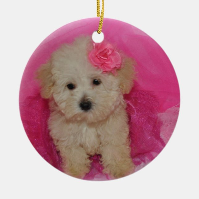 Niedlich Maltipoo Puppy Keramik Ornament (Vorne)