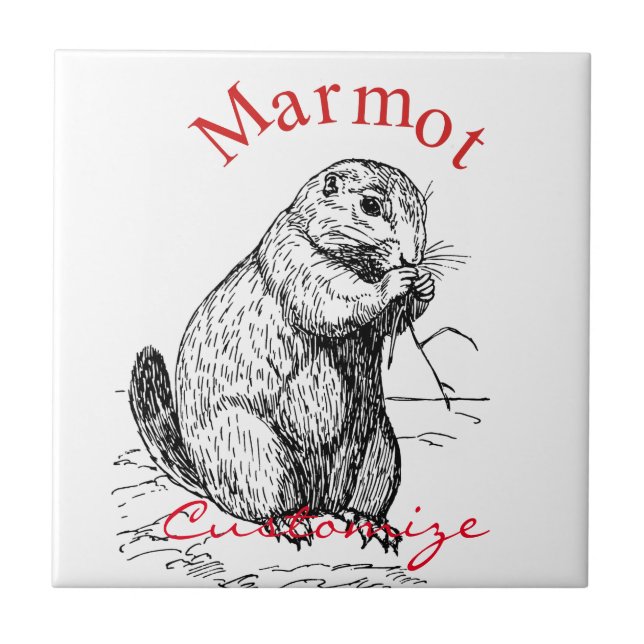Niedlich Marmot Animal Thunder_Cove Fliese (Vorderseite)