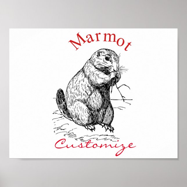 Niedlich Marmot Animal Thunder_Cove Poster (Vorne)