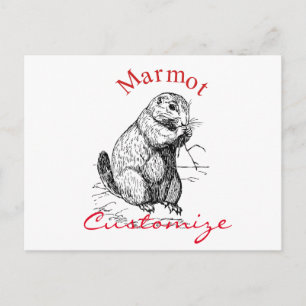 Niedlich Marmot Animal Thunder_Cove Postkarte