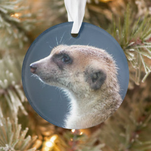 Niedlich Meerkat Circular Christmas Ornament