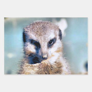NIEDLICH MEERKAT GESCHENKPAPIER SET