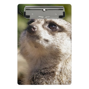 NIEDLICH MEERKAT MINI KLEMMBRETT