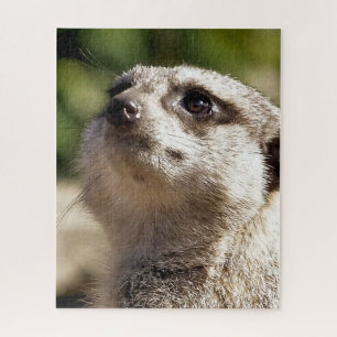 NIEDLICH MEERKAT PUZZLE