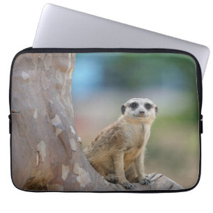 Niedlich Meerkat Sat on Tree Laptopschutzhülle