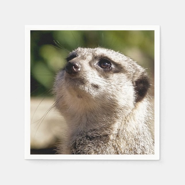 NIEDLICH MEERKAT SERVIETTE (Vorderseite)