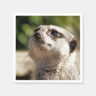 NIEDLICH MEERKAT SERVIETTE