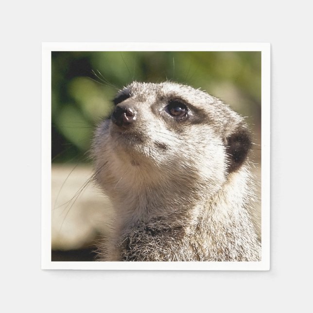 NIEDLICH MEERKAT SERVIETTE (Vorderseite)