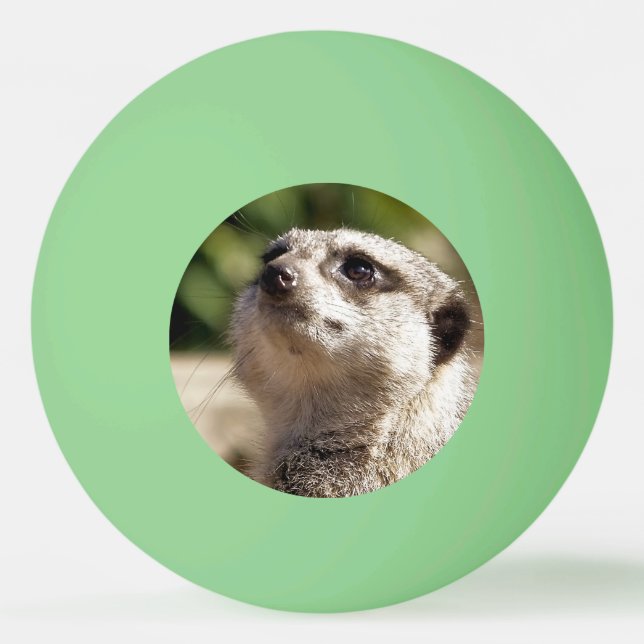 NIEDLICH MEERKAT TISCHTENNISBALL (Vorderseite)