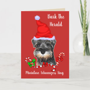 Niedlich Miniatur Schnauzer Weihnachten
