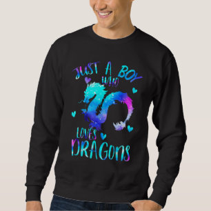 Niedlich nur ein Junge, der Lieben Dragons Männer Sweatshirt