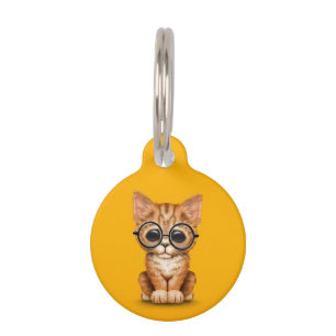 Niedlich Orange Tabby Kitten mit Augengläser gelb Tiermarke