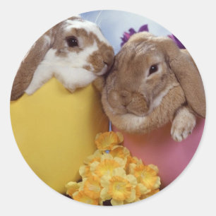 Niedlich Osterhase in Eiern Runder Aufkleber