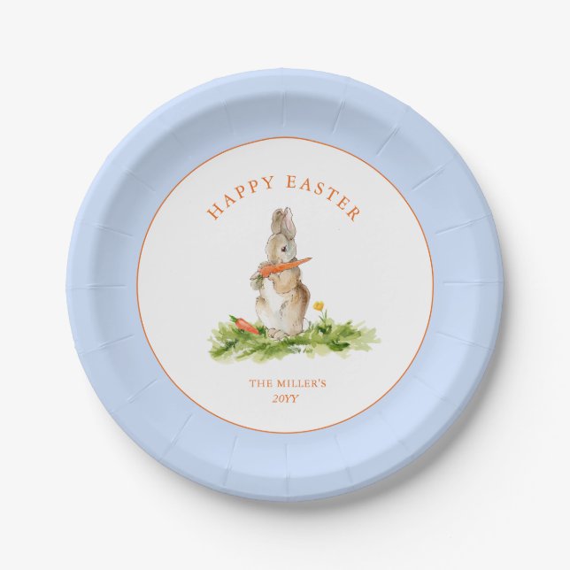 Niedlich Ostern Bunny Blue & White Pappteller (Vorderseite)