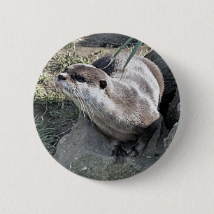 NIEDLICH OTTER BUTTON