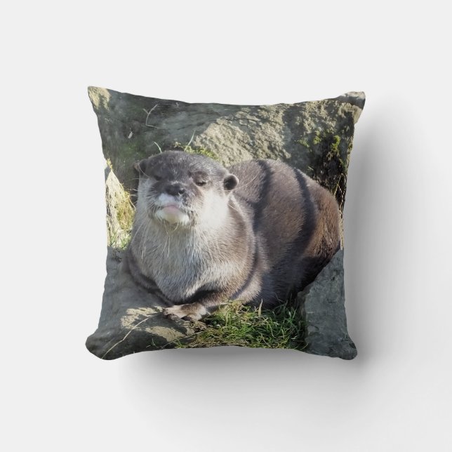 NIEDLICH OTTER KISSEN (Vorderseite)