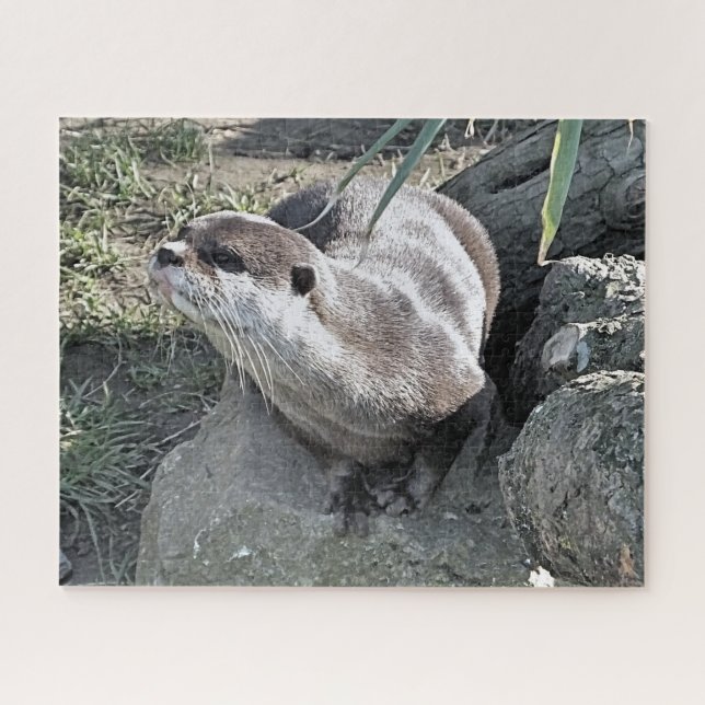 NIEDLICH OTTER  PUZZLE (Horizontal)