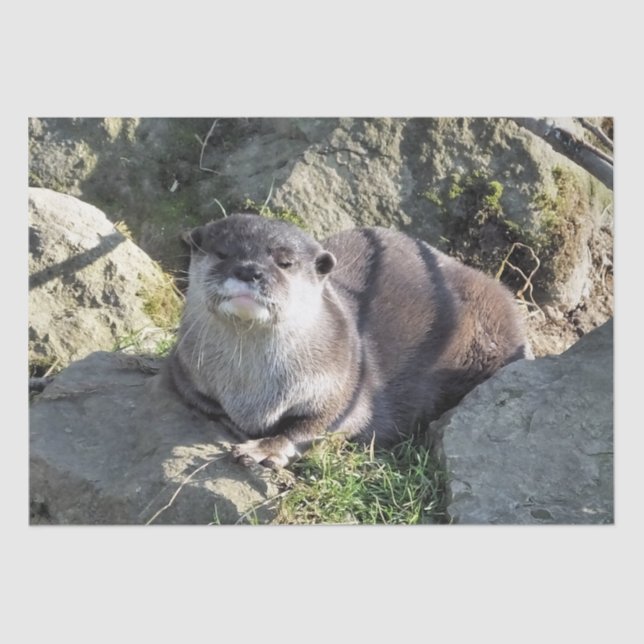 NIEDLICH OTTER SEIDENPAPIER (Vorderseite)