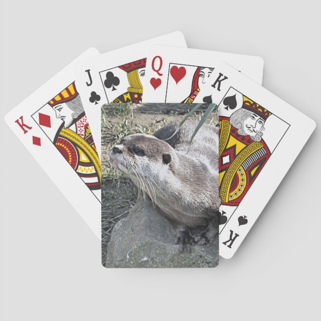 NIEDLICH OTTER SPIELKARTEN (Rückseite)