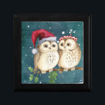 Niedlich Owls Christmas Erinnerungskiste<br><div class="desc">Niedlich Owls Geschenkboxen</div>