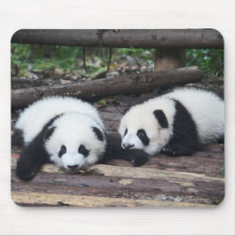 Niedlich Panda Babies Mouse Pad Mousepad