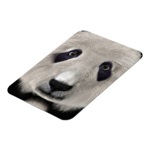 Niedlich Panda Bear Kawaii Animal Lover Perfektes Magnet