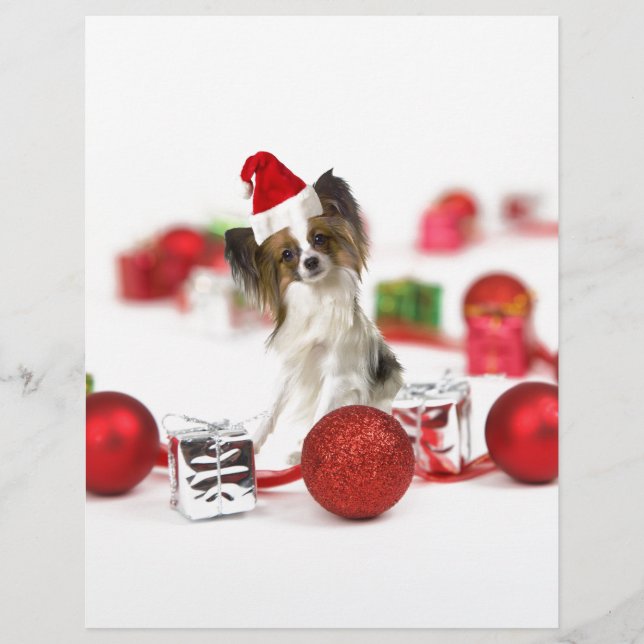Niedlich Papillon Dog Weihnachtsmannmütze (Vorderseite)
