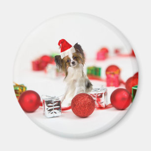 Niedlich Papillon Dog Weihnachtsmannmütze Magnet