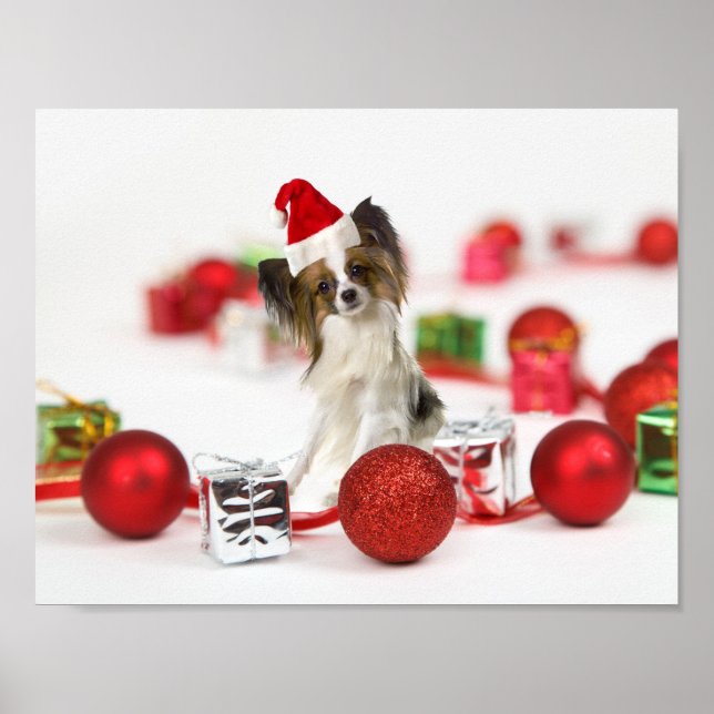 Niedlich Papillon Dog Weihnachtsmannmütze Poster (Vorne)