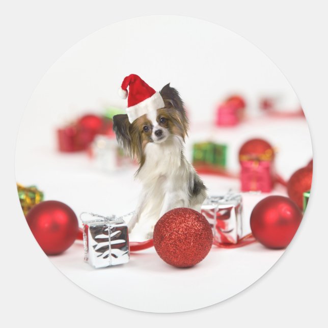 Niedlich Papillon Dog Weihnachtsmannmütze Runder Aufkleber (Vorderseite)