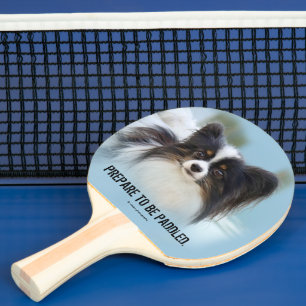 Niedlich Papillon Toy Spaniel Dog am Dock Tischtennis Schläger