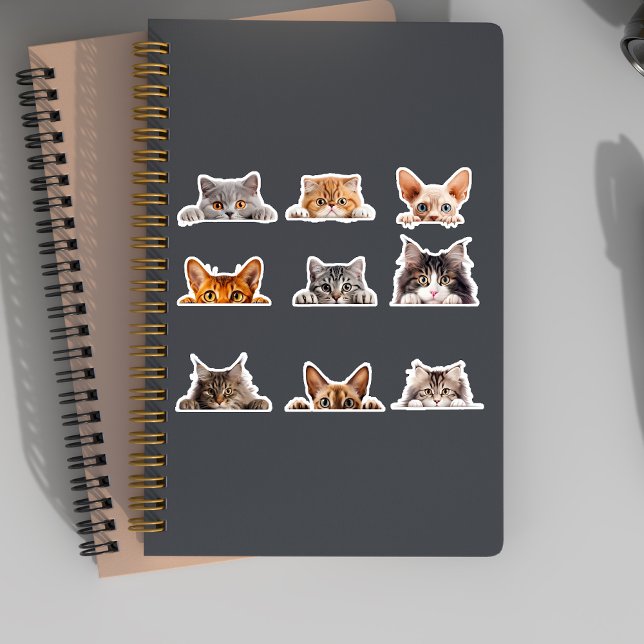 Niedlich Peeking Cats British Siamese Bengalisch Aufkleber (Von Creator hochgeladen)