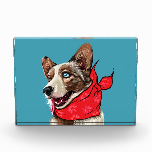 Niedlich Pembroke Welsh Corgi Fotoblock (Vorderseite)