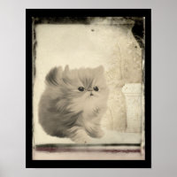 Niedlich Persian Kitten Vintag Look