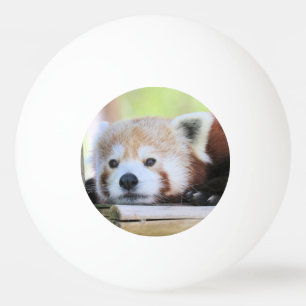 Niedlich Ping Pong Ball Tischtennisball