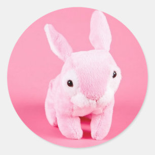 Niedlich Pink Bunny Runder Aufkleber