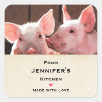Niedlich Pink Ferkel Tierfotografie Küche