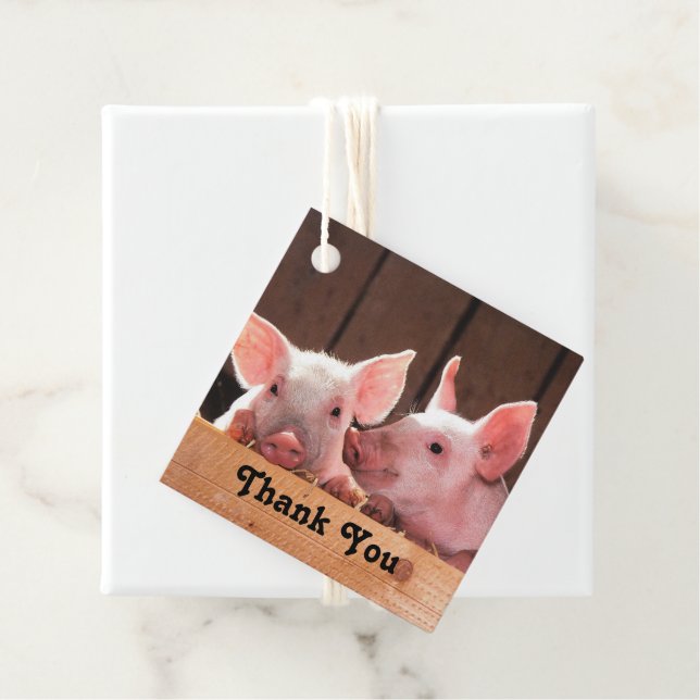 Niedlich Pink Ferkel Tierfotos Danke Geschenkanhänger (Beispiel)