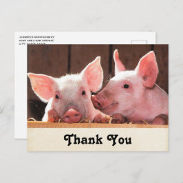 Niedlich Pink Ferkel Tierfotos Danke Postkarte