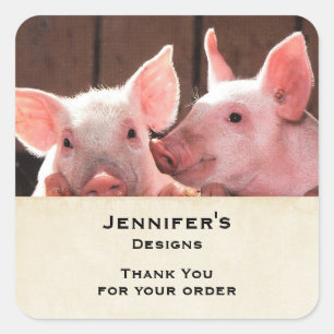 Niedlich Pink Piglets Animal Foto Business Vielen Quadratischer Aufkleber
