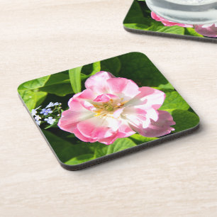 Niedlich-Pink-Tulpe Getränkeuntersetzer