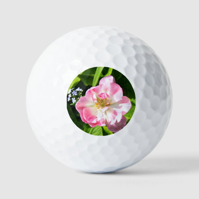 Niedlich-Pink-Tulpe Golfball (Vorderseite)