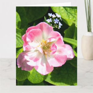 Niedlich-Pink-Tulpe Karte