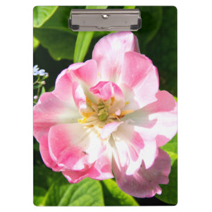 Niedlich-Pink-Tulpe Klemmbrett