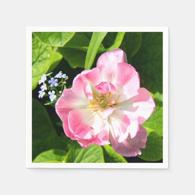 Niedlich-Pink-Tulpe Serviette (Vorderseite)