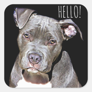 Niedlich Pit Bull Hund HELLO Stickers