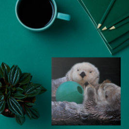 Niedlich Playful Sea Otters Fliese