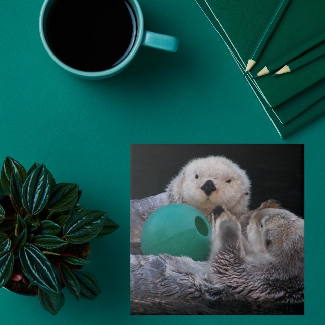 Niedlich Playful Sea Otters Fliese (In Situ)