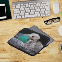 Niedlich Playful Sea Otters